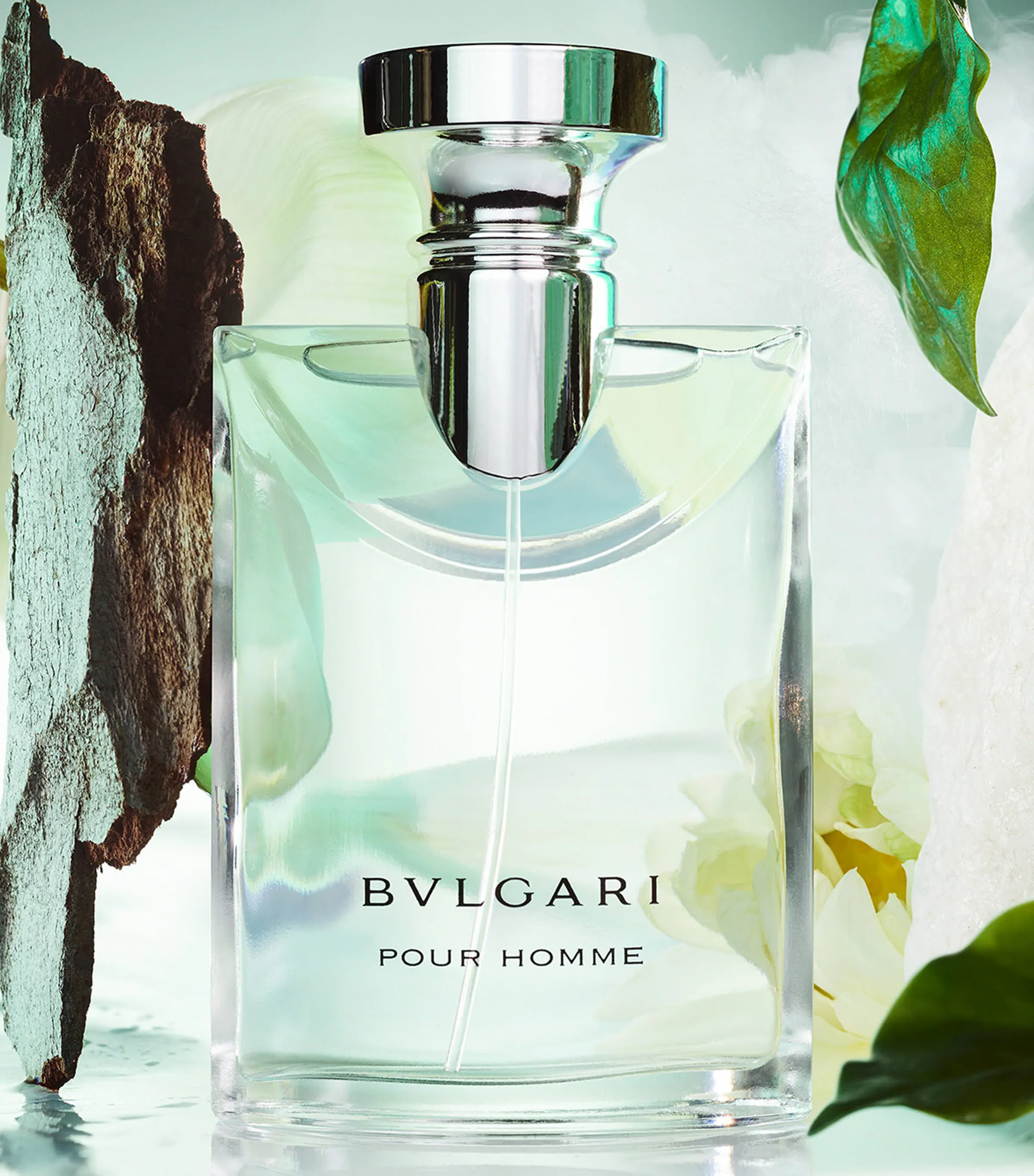 Bvlgari Bvlgari Pour Homme Eau de Toilette