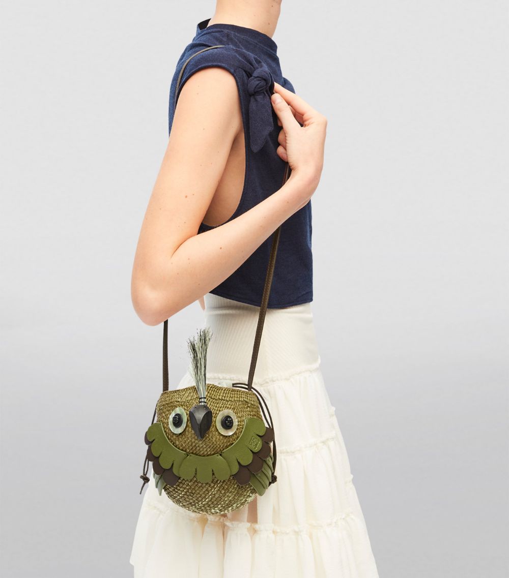 Loewe Loewe X Paula'S Ibiza Iraca Palm-Leather Bird Cross-Body Bag