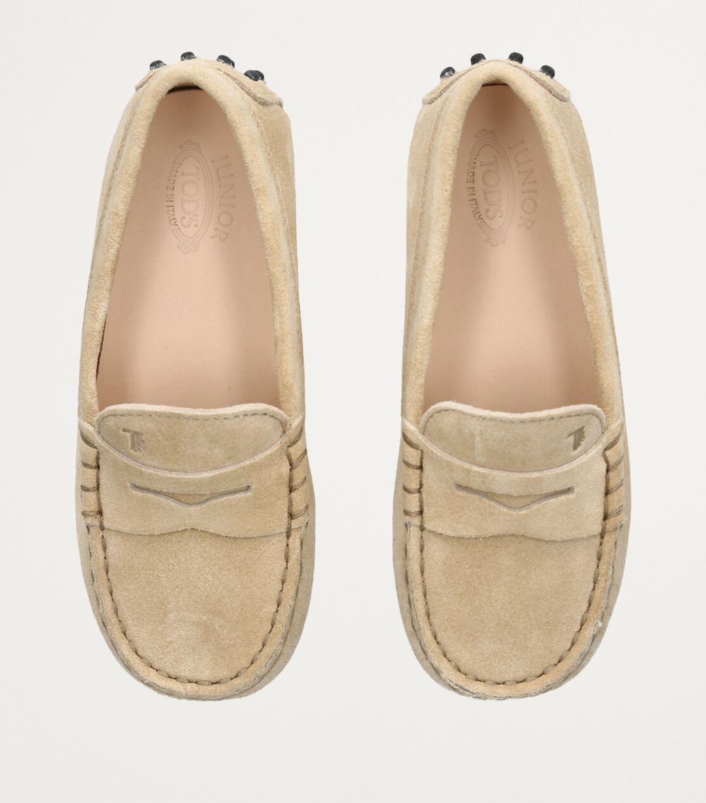 Tod's Tod'S Suede Mocassino Nuovo Driving Shoes