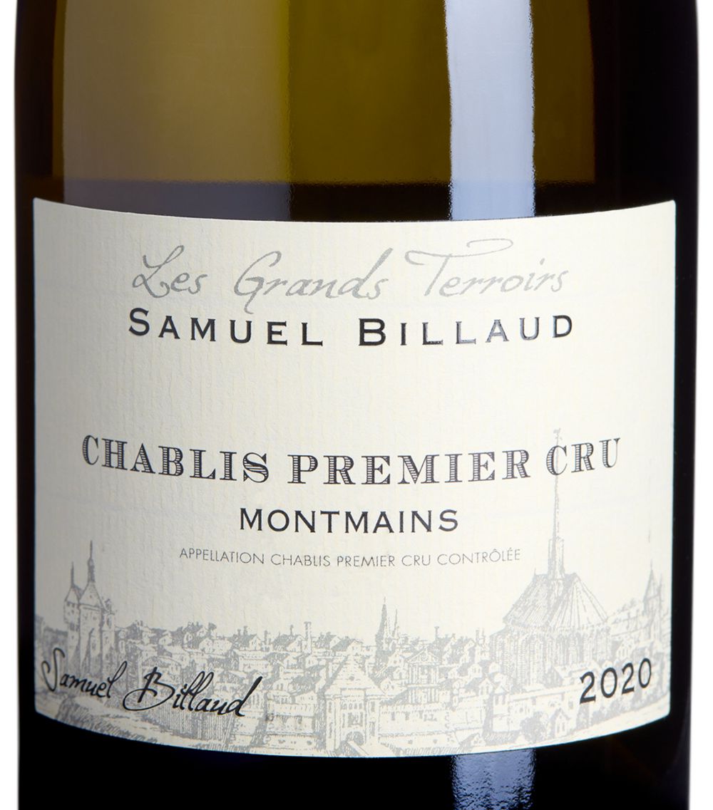 Samuel Billaud Samuel Billaud Samuel Billaud Montmains Chablis Premier Cru 2020 (75Cl) - Chablis, France