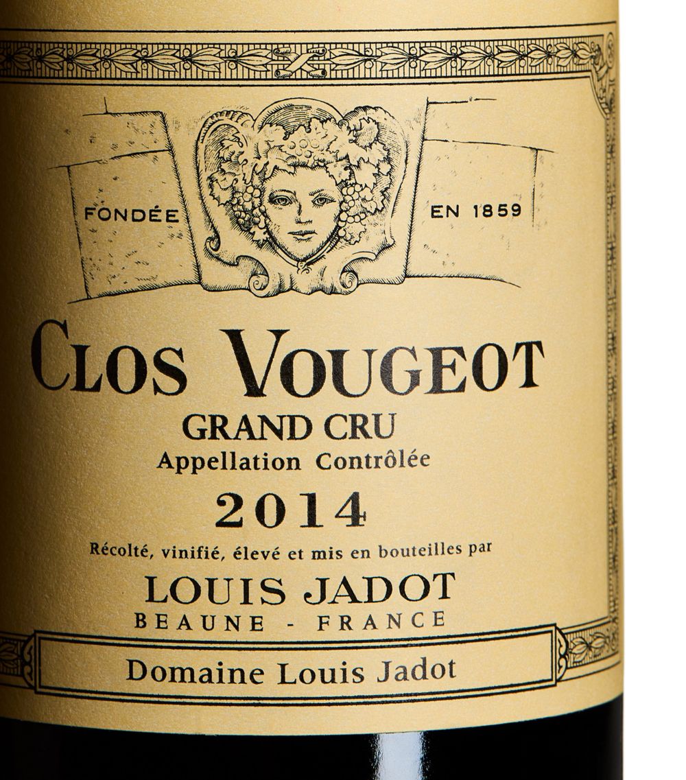 Louis Jadot Louis Jadot Clos De Vougeot Grand Cru 2014 (75Cl) - Burgundy, France