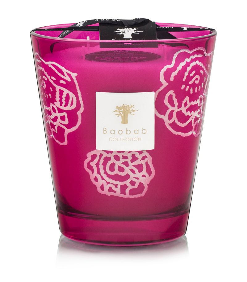 Baobab Collection Baobab Collection Collectible Roses Burgundy Candle (1.5kg)