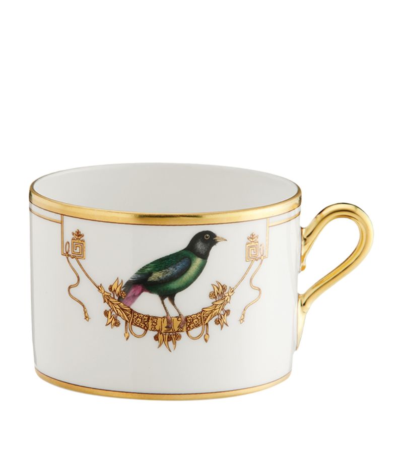 Ginori Ginori 1735 Volière Teacup