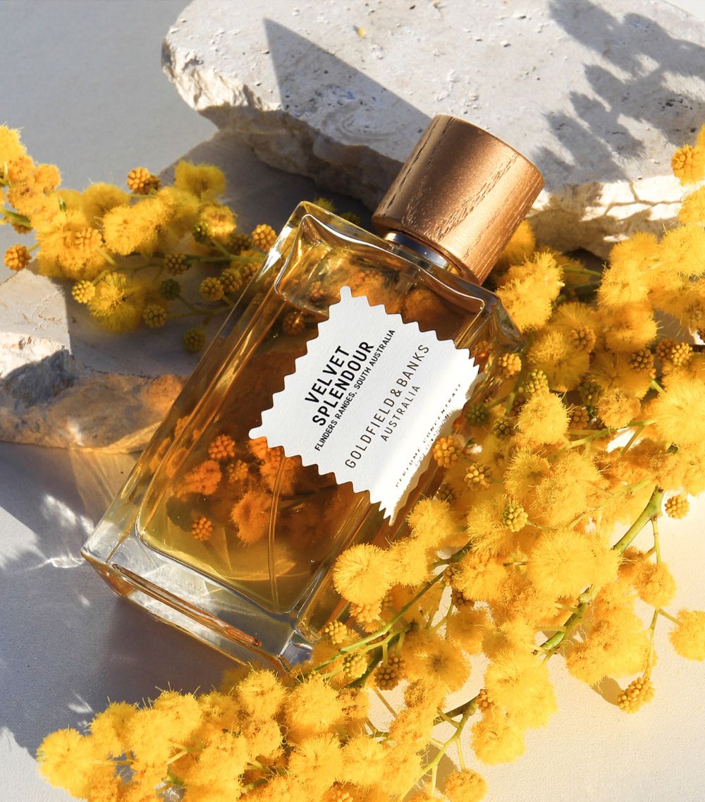 Goldfield & Banks Goldfield & Banks Velvet Splendour Pure Perfume (100Ml)