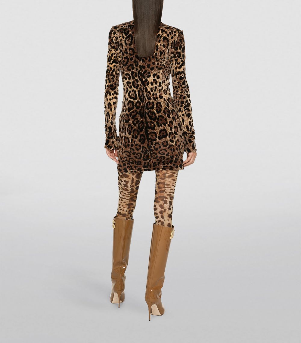 Dolce & Gabbana Dolce & Gabbana Leopard Print Mini Dress