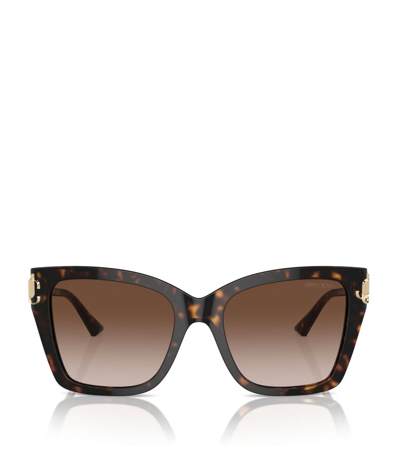 Jimmy Choo Jimmy Choo Acetate Jc5012 Sunglasses