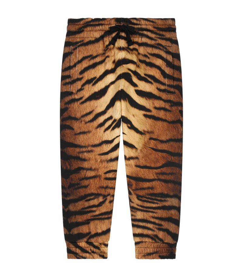 Dolce & Gabbana Dolce & Gabbana Kids Tiger Print Sweatpants (2-6 Years)