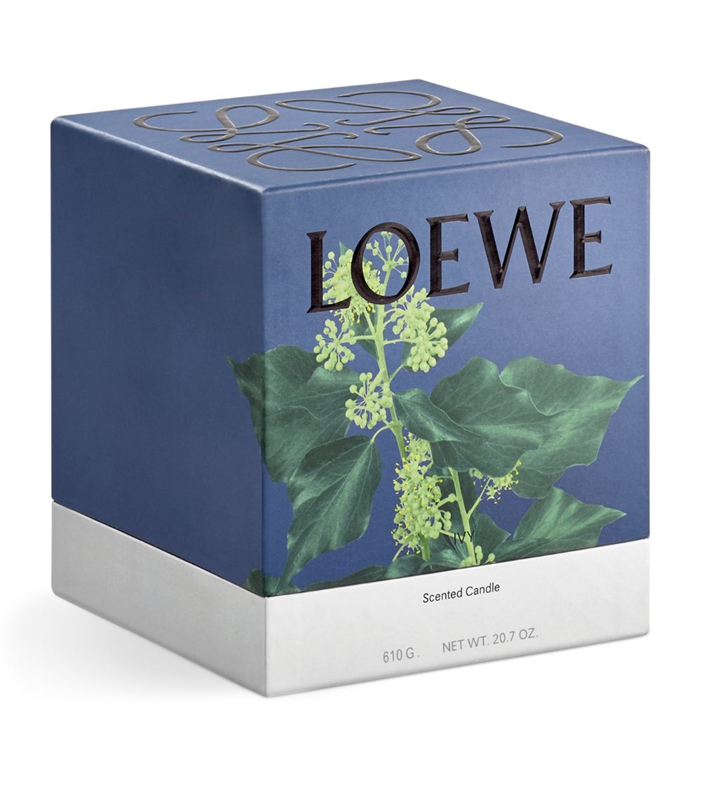 Loewe Loewe Medium Ivy Candle (610G)