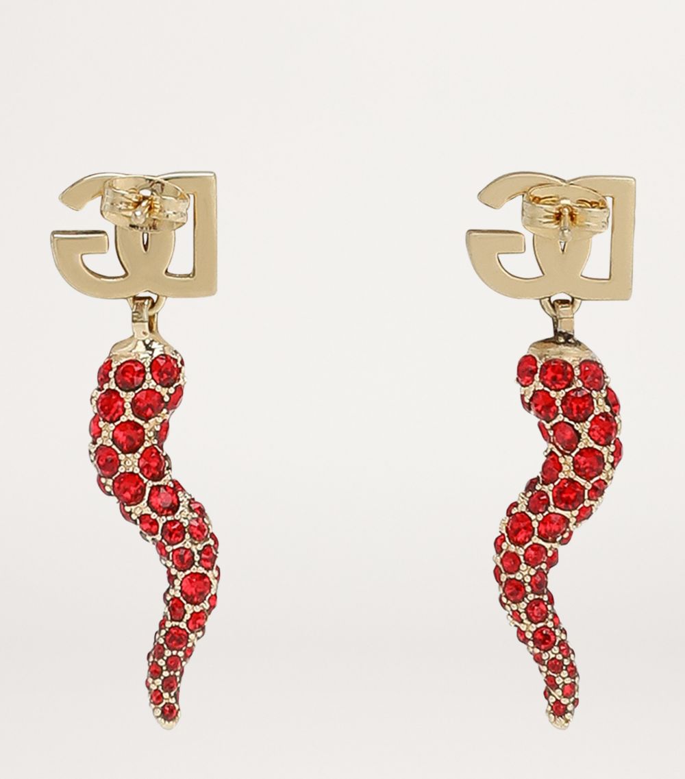 Dolce & Gabbana Dolce & Gabbana Creole Drop Earrings