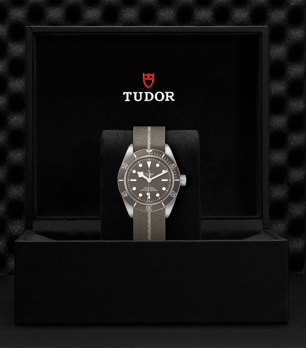 Tudor Tudor Black Bay Fifty-Eight Silver Watch 39Mm