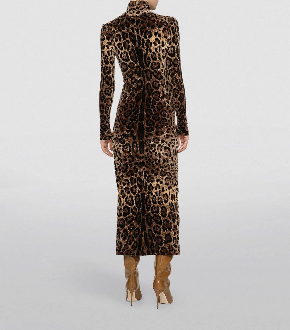 Dolce & Gabbana Dolce & Gabbana Leopard Print Midi Dress