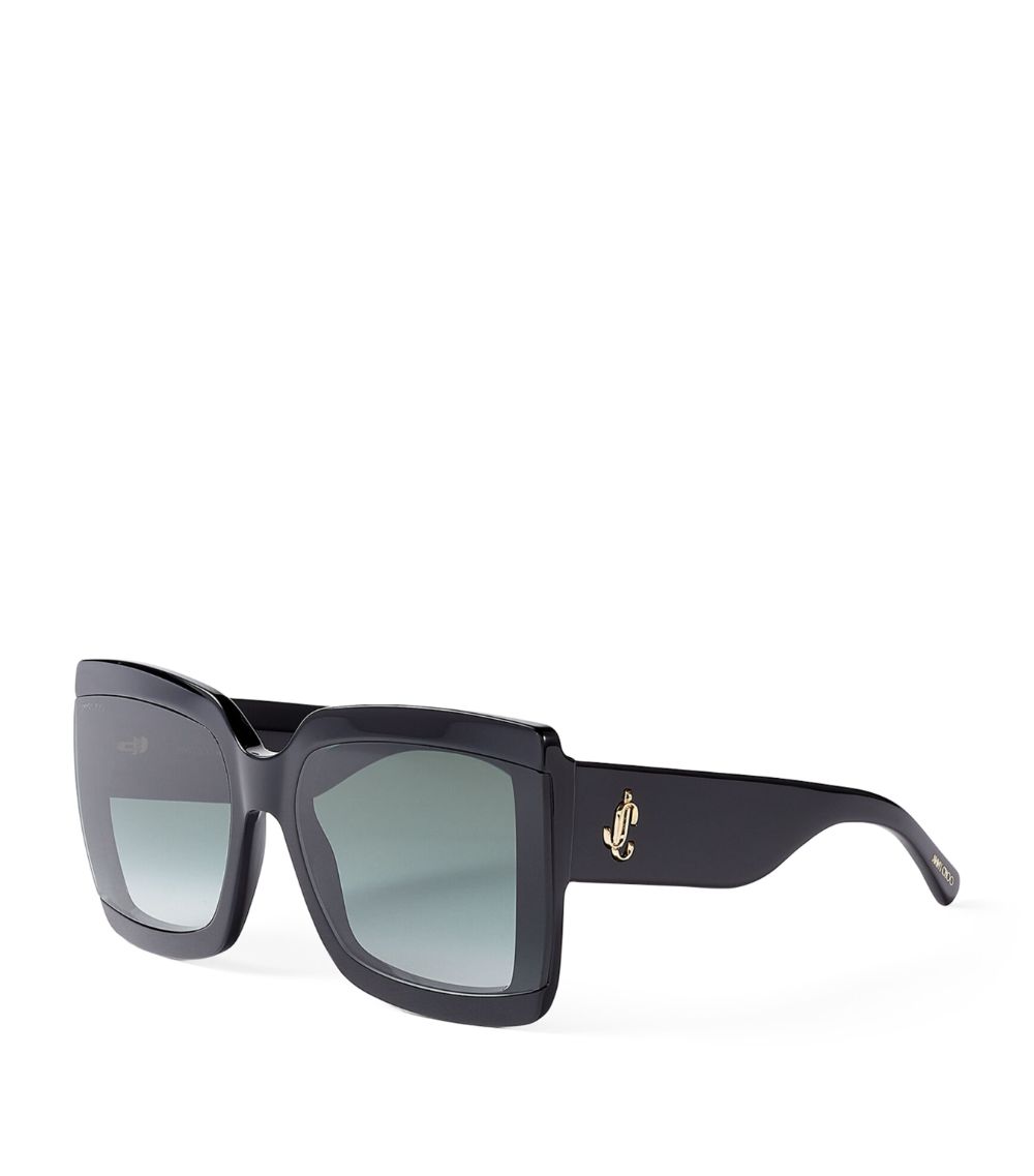 Jimmy Choo Jimmy Choo Oversized Renee Sunglasses