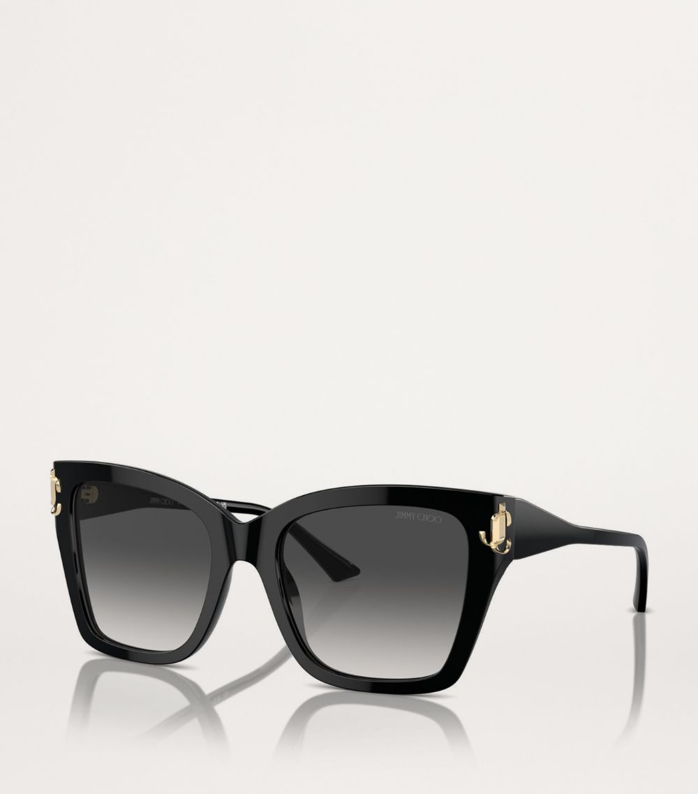 Jimmy Choo Jimmy Choo Acetate Jc5012 Sunglasses