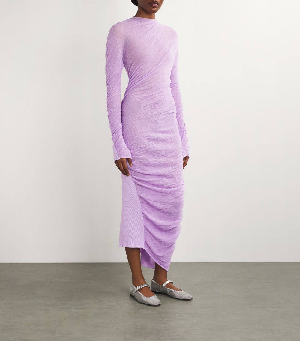 Issey Miyake Issey Miyake Ambiguous Dress