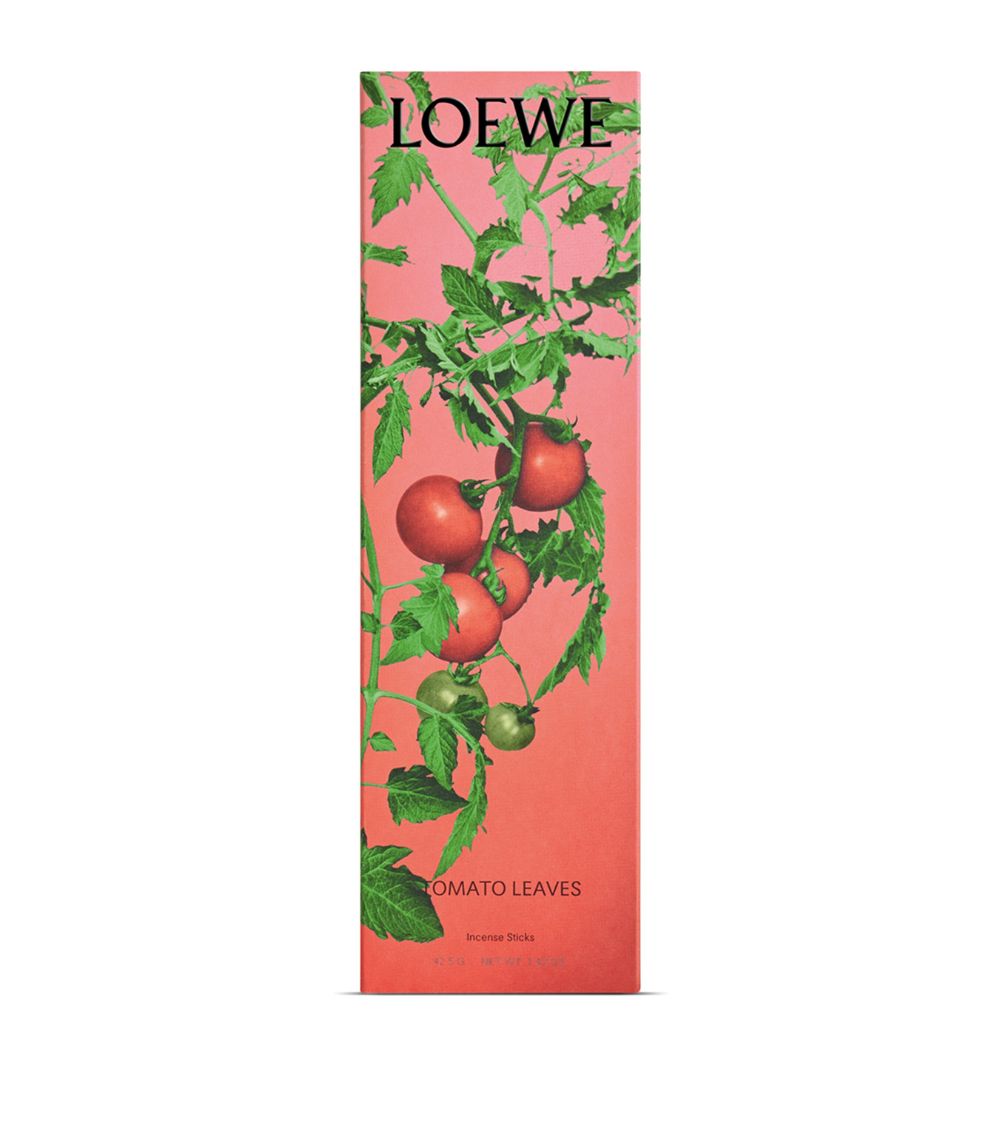 Loewe Loewe Ivy Incense (25 Sticks) - Refill