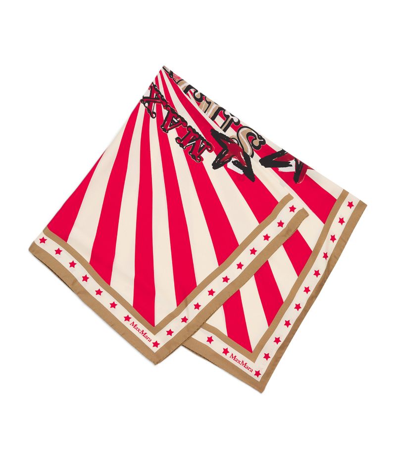 Max Mara Max Mara Silk Printed Circus Scarf