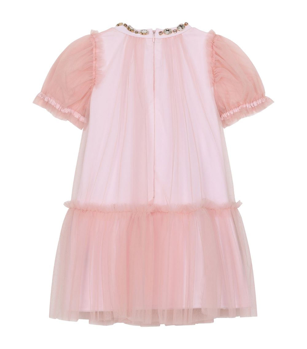 Dolce & Gabbana Dolce & Gabbana Kids Tulle Jewel-Neckline Dress