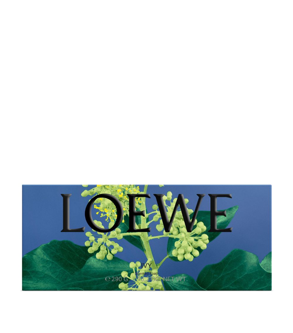 Loewe Loewe Ivy Soap Bar (290G)