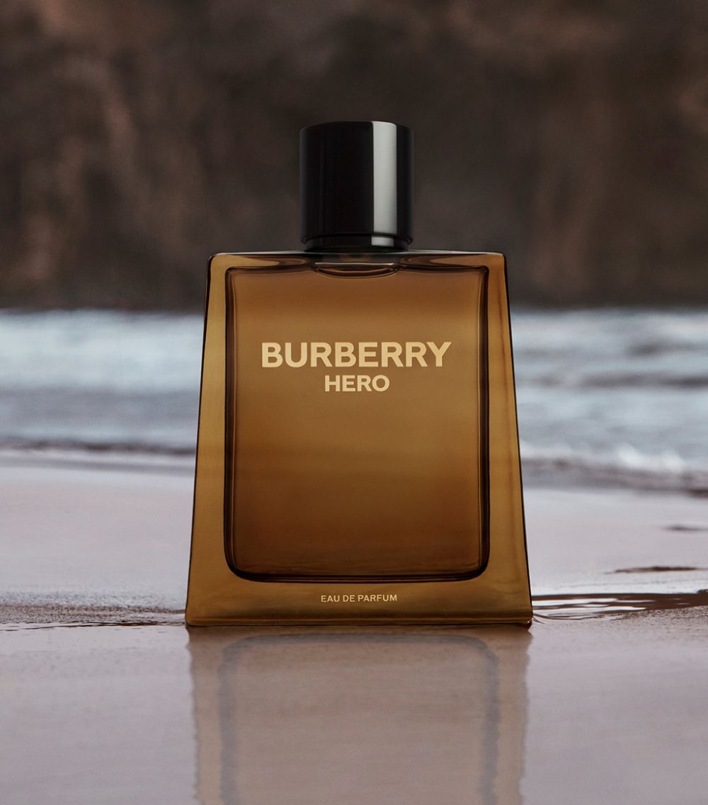 Burberry Burberry Burberry Hero Eau De Parfum (100Ml)