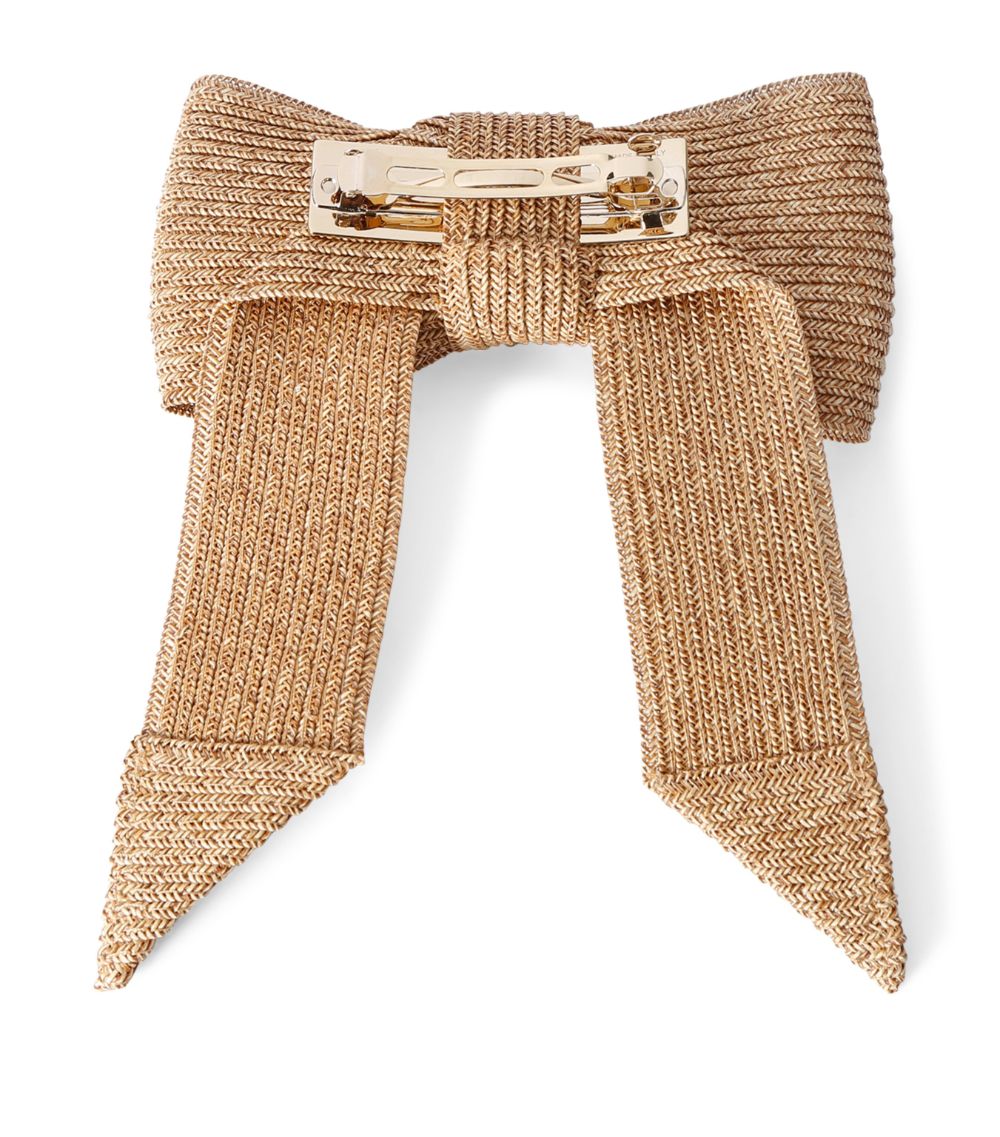 Roger Vivier Roger Vivier Broche Hair Clip Ribbon