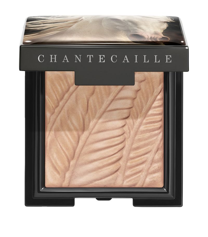 Chantecaille Chantecaille Matte Eye Shade