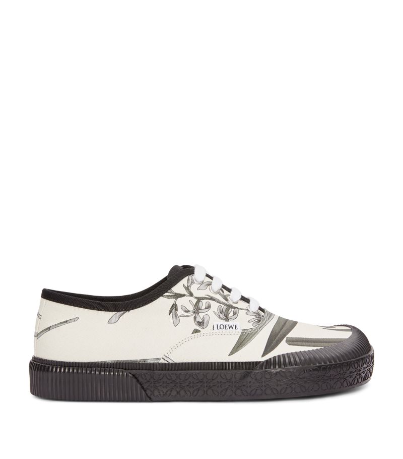 Loewe Loewe X Paula'S Ibiza Terra Vulca Low-Top Sneakers