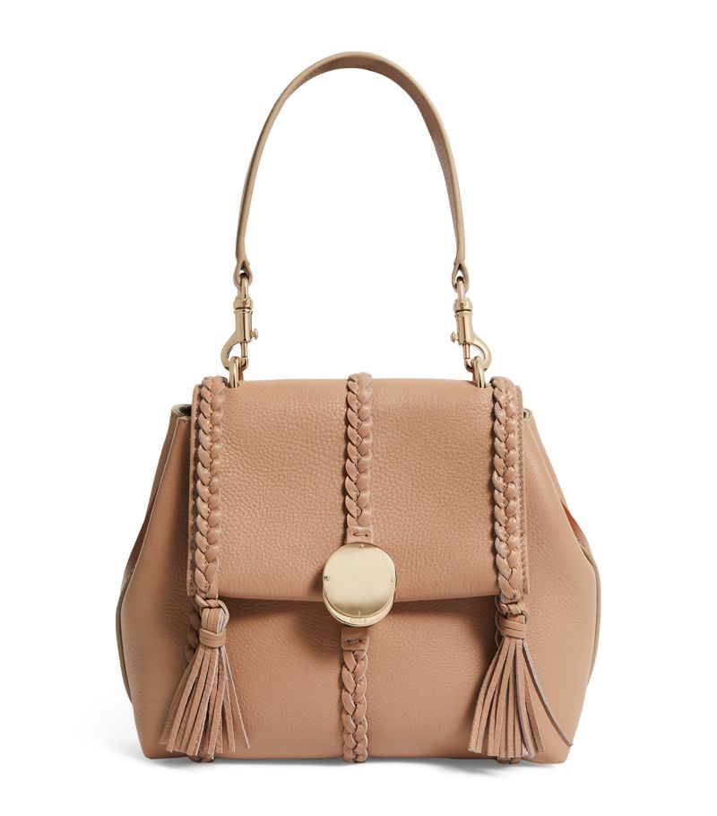 Chloé Chloé Small Leather Penelope Shoulder Bag