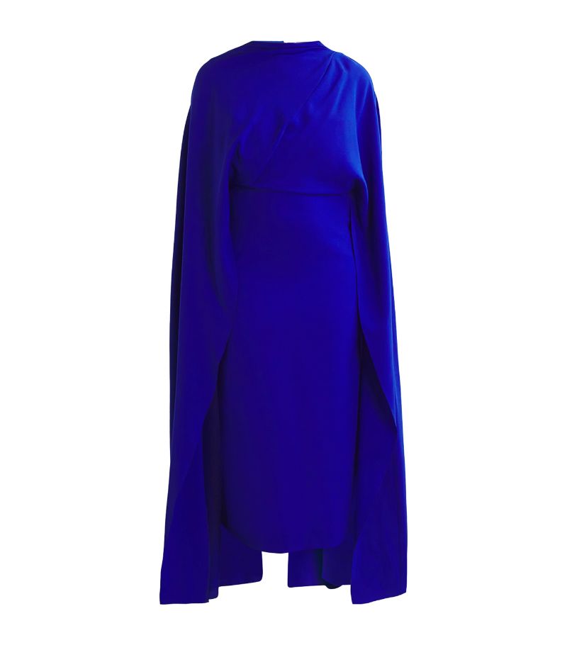 Roksanda Roksanda Cape Neolitsea Gown