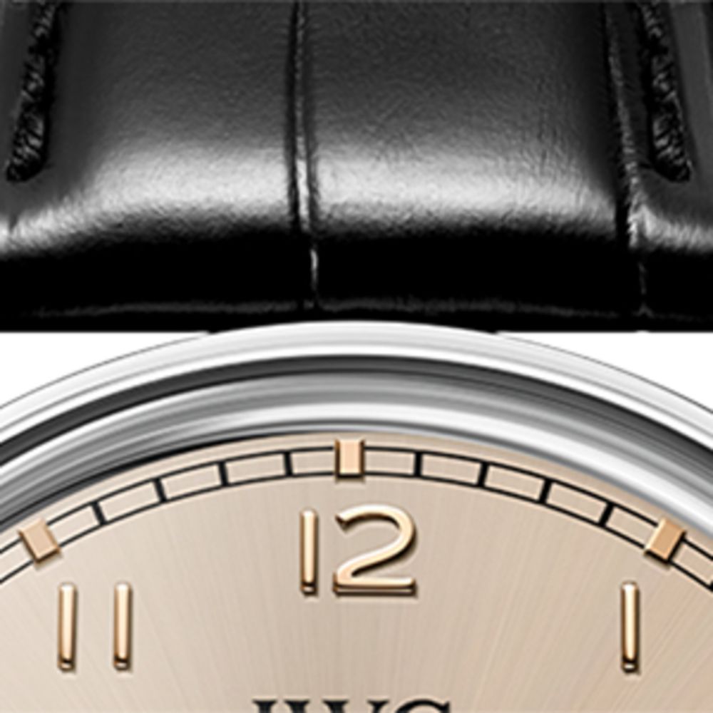 Iwc Schaffhausen Iwc Schaffhausen Stainless Steel Portugieser Automatic Watch 42Mm