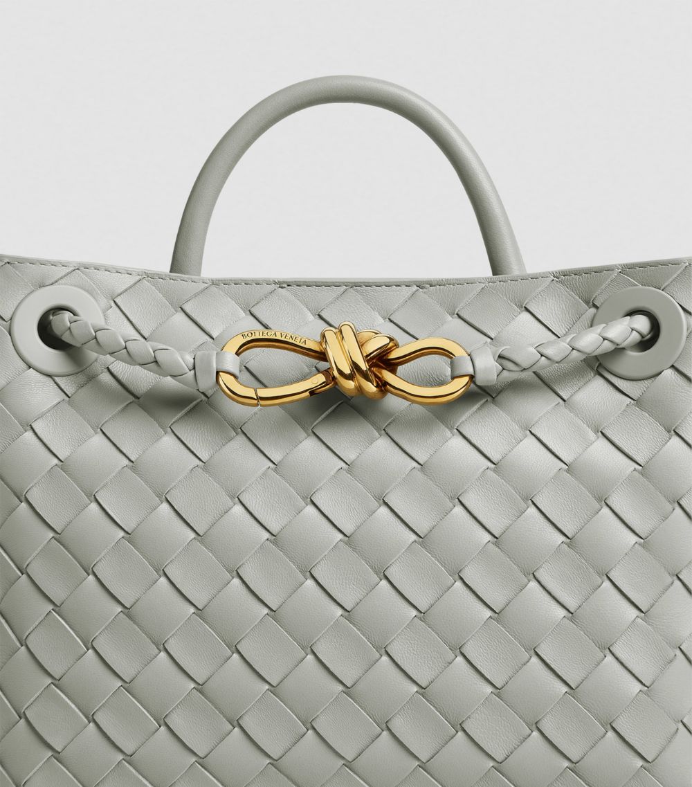 Bottega Veneta Bottega Veneta Leather Andiamo Shoulder Bag