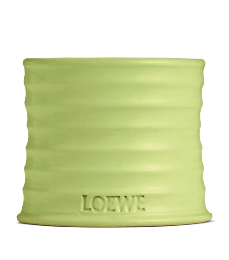 Loewe Loewe Small Cucumber Candle (170G)