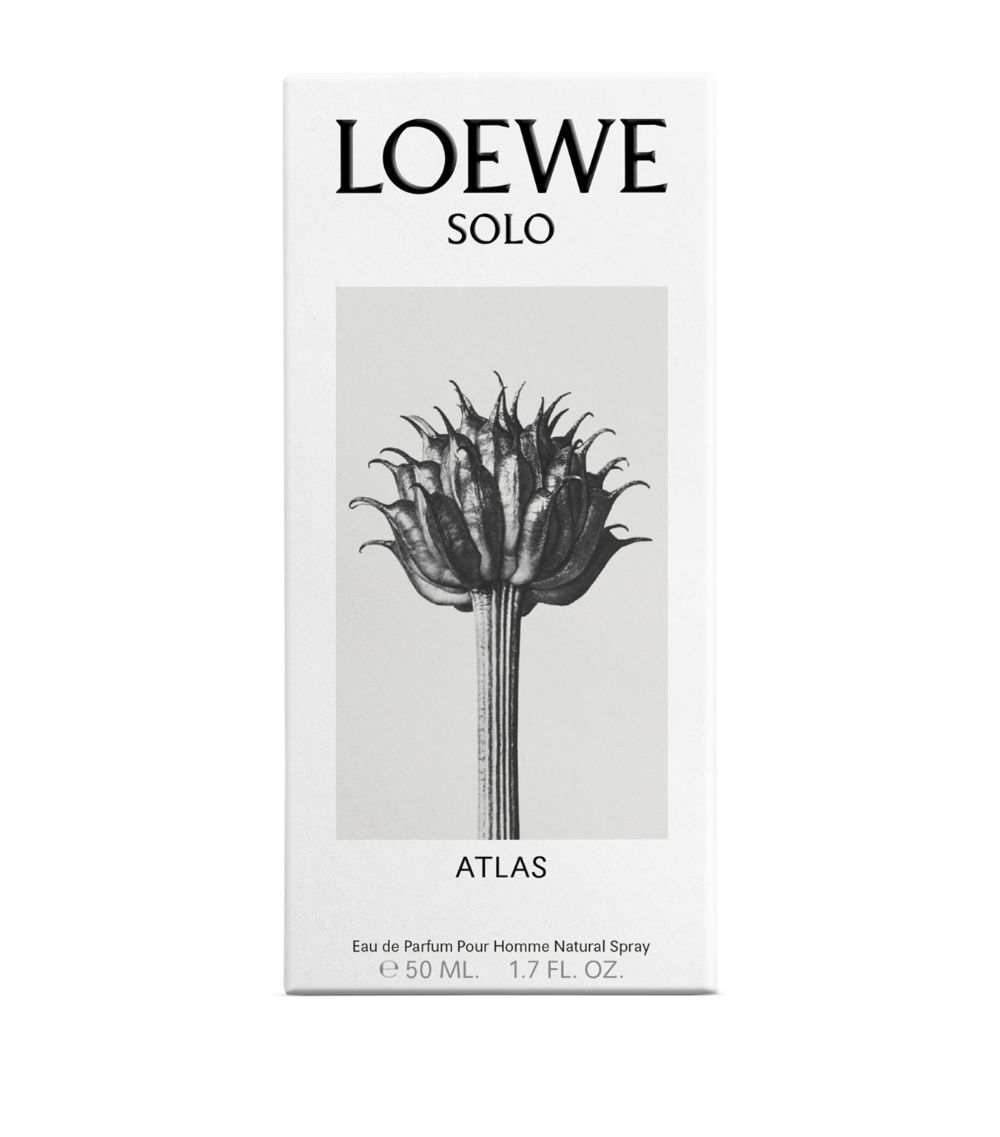 Loewe Loewe Solo Atlas Eau De Parfum (50Ml)