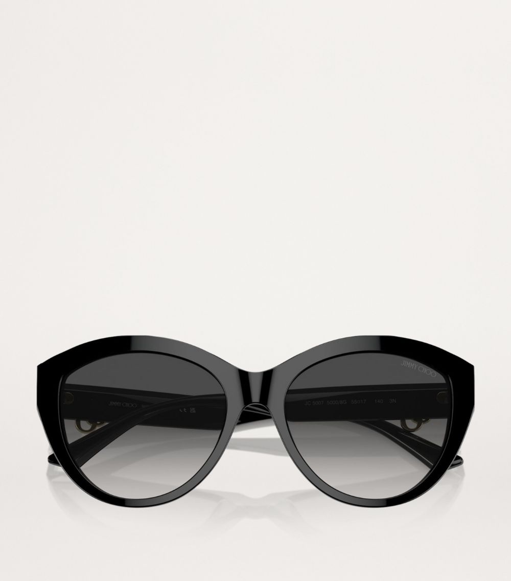 Jimmy Choo Jimmy Choo Acetate Jc5007 Sunglasses