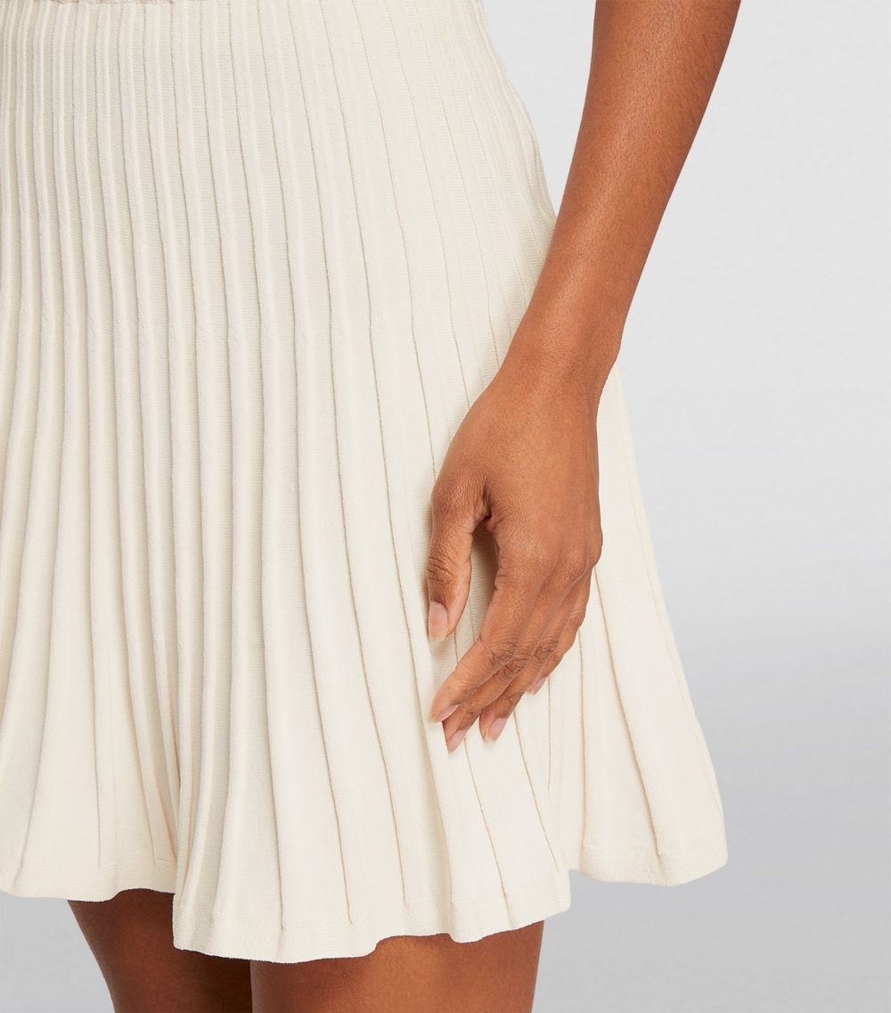 Yves Salomon Yves Salomon Pleated A-Line Mini Skirt