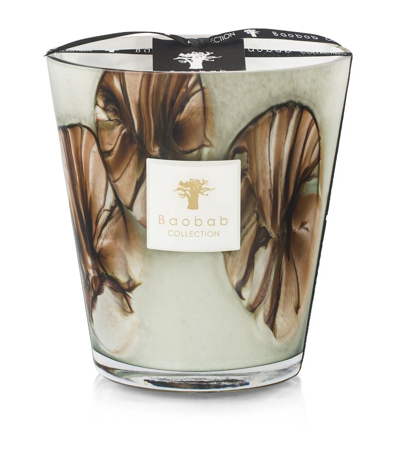 Baobab Collection Baobab Collection Ceramic Oceania Anangu Candle (2.3Kg)