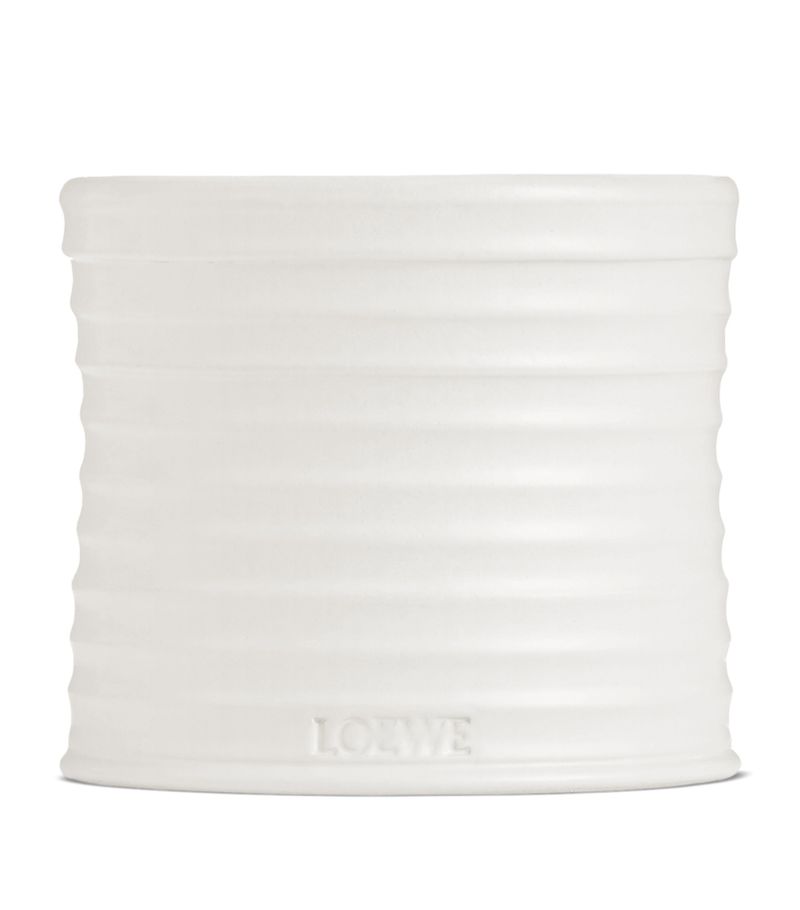 Loewe Loewe Medium Oregano Candle (610G)