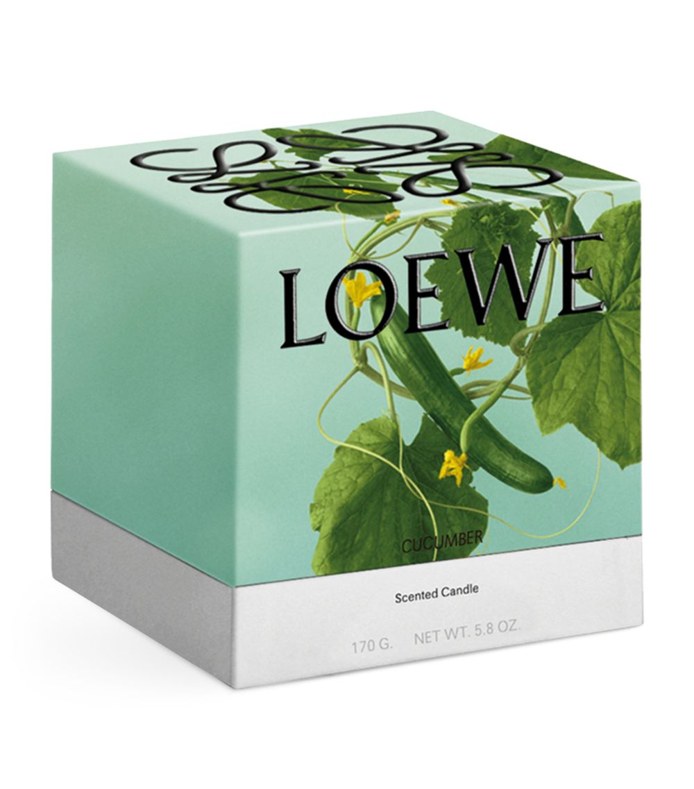 Loewe Loewe Small Cucumber Candle (170G)