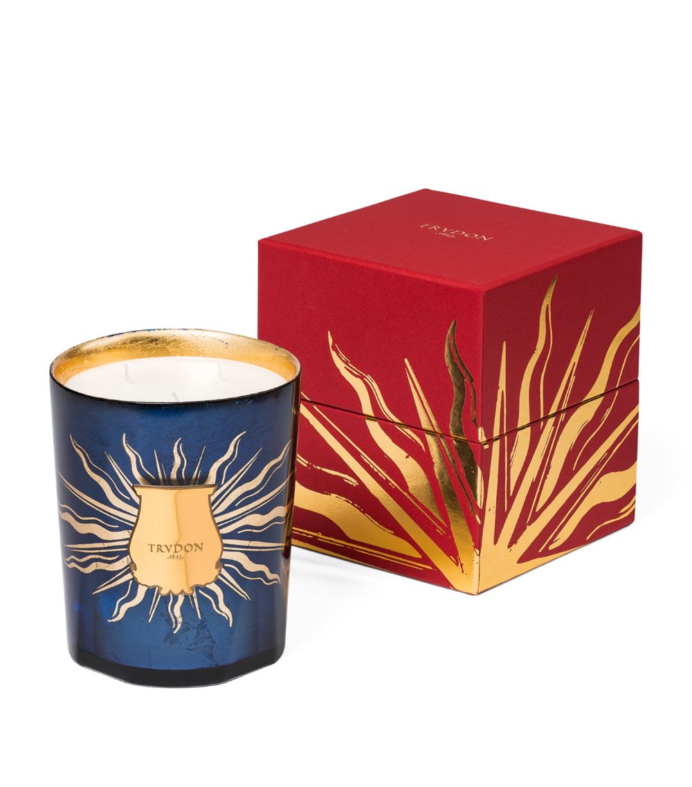 Trudon TRUDON Fir Scented Candle (800g)