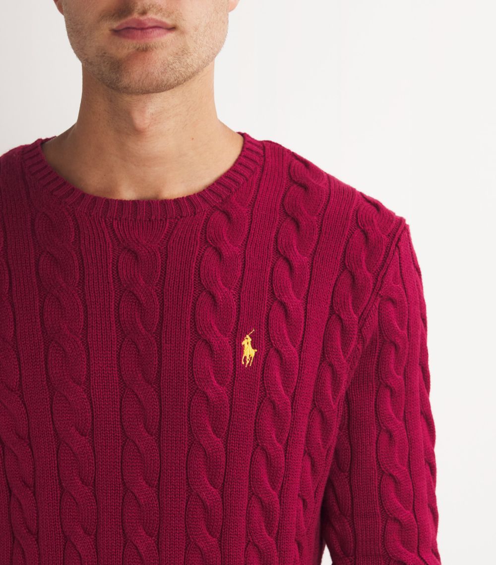 Polo Ralph Lauren Polo Ralph Lauren Cotton Cable-Knit Sweater