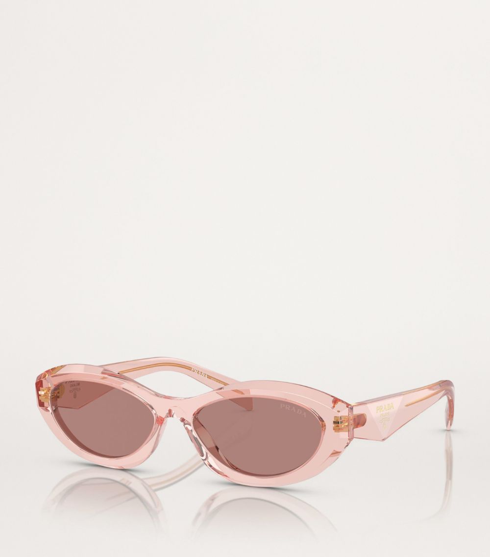 Prada Prada Acetate Pr 26Zs Sunglasses