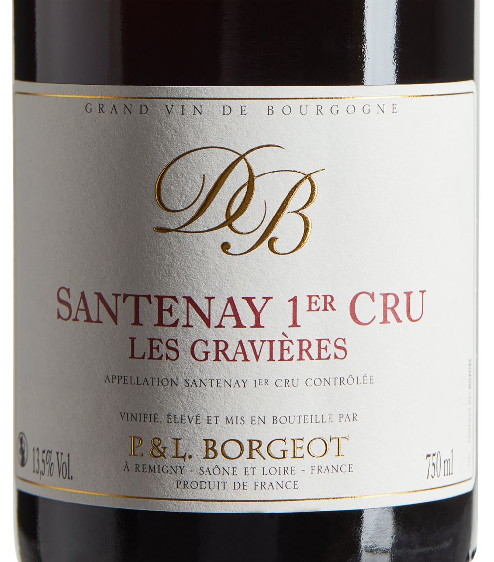 Borgeot Borgeot Santenay Premier Cru Les Gravières Pinot Noir 2021 (75Cl) - Burgundy, France