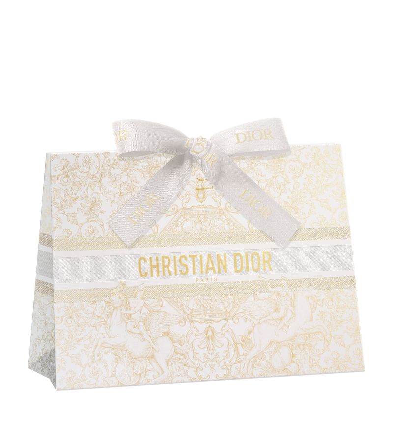 Dior DIOR The Art of Gifting Bag