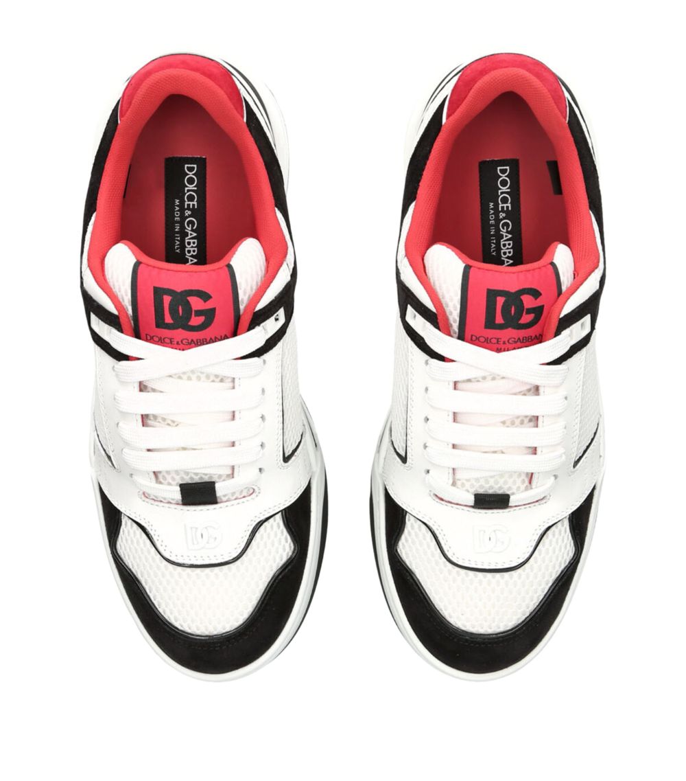 Dolce & Gabbana Dolce & Gabbana Leather Roma Skate Sneakers