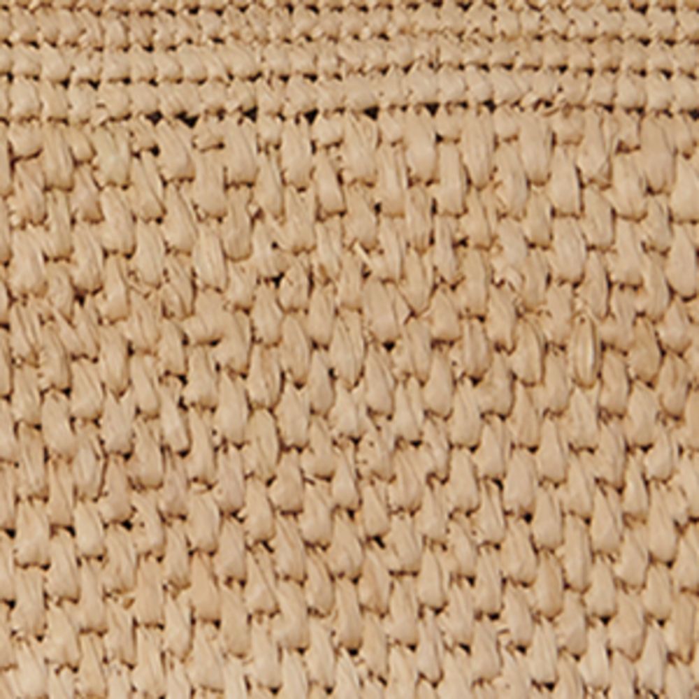 The Row The Row Raffia Emilie Tote Bag