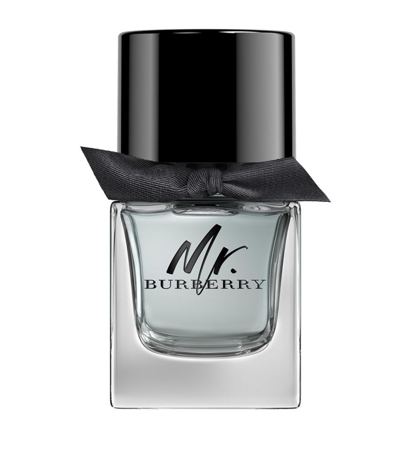 Burberry Burberry Mr. Burberry Eau De Toilette (50Ml)