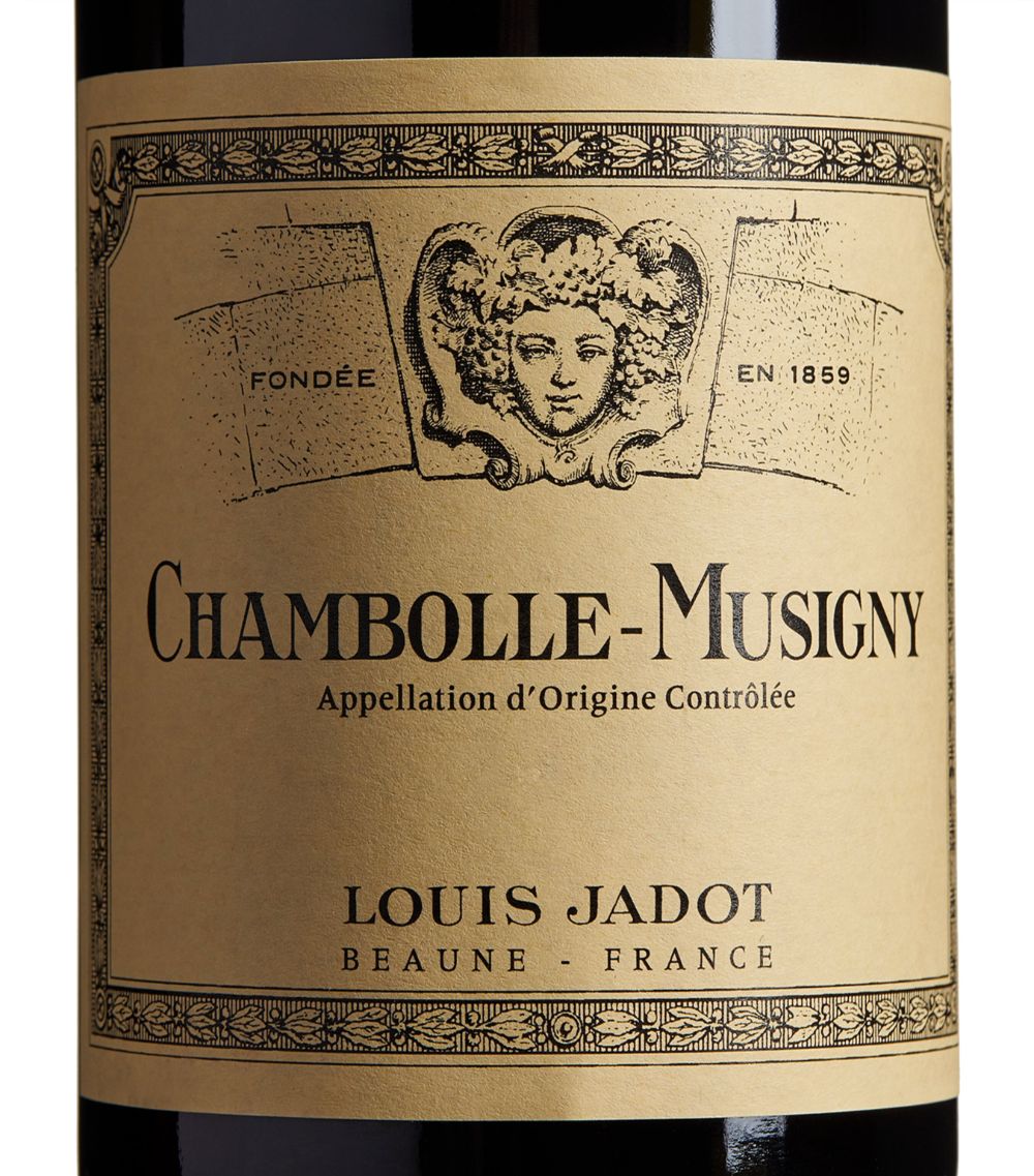 Louis Jadot Louis Jadot Chambolle-Musigny Cote De Nuits 2017 (75Cl) - Burgundy, France