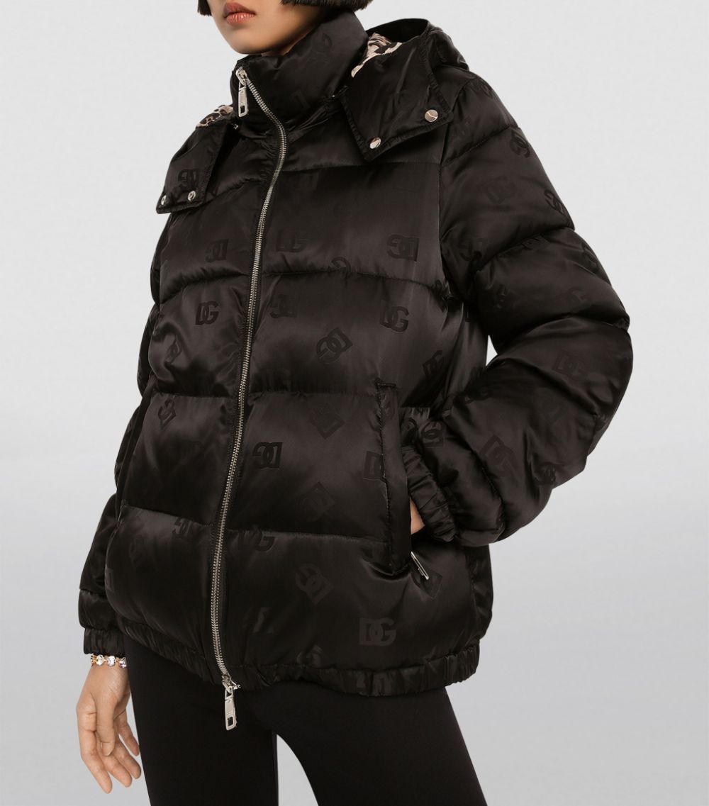 Dolce & Gabbana Dolce & Gabbana Hooded Puffer Jacket