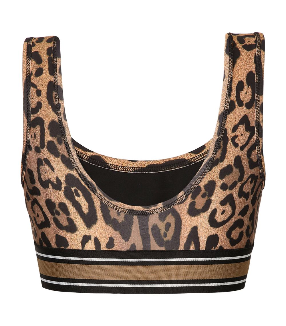 Dolce & Gabbana Dolce & Gabbana Leopard Print Crop Top