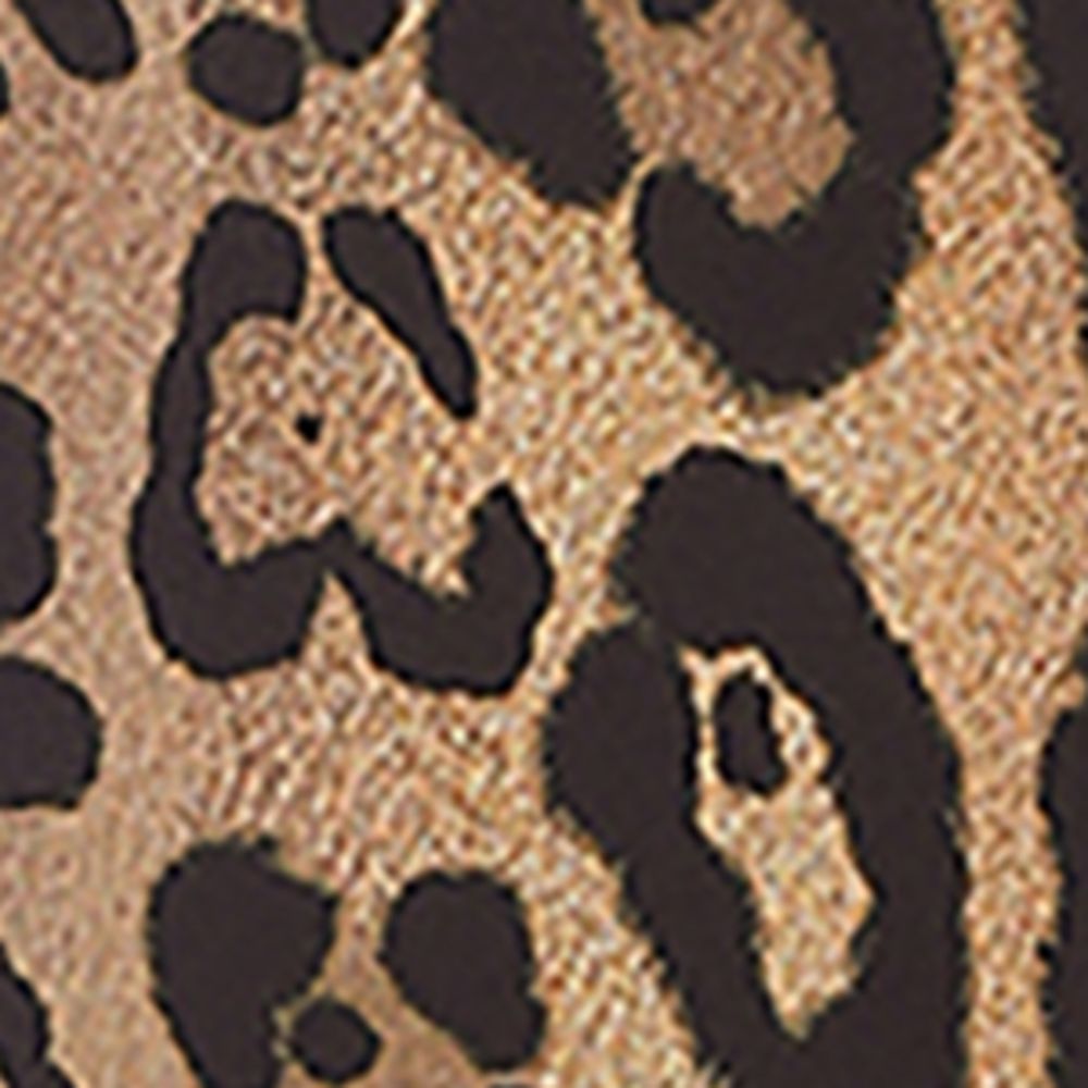 Dolce & Gabbana Dolce & Gabbana Leopard Print High-Rise Leggings