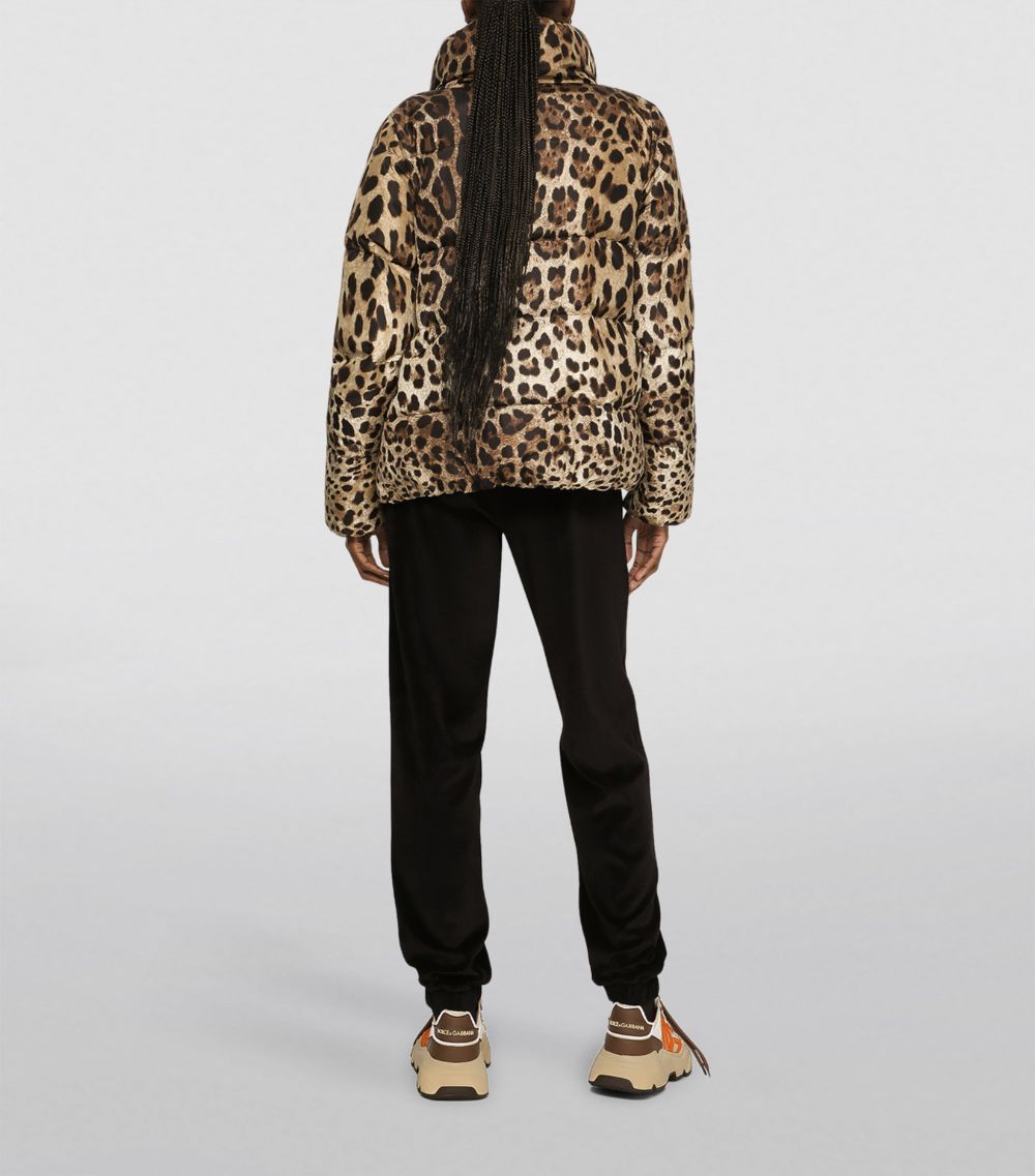 Dolce & Gabbana Dolce & Gabbana Leopard Print Puffer Jacket